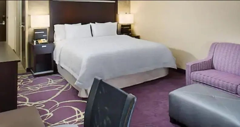 1 King Bed with Sofabed