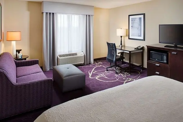 1 King Bed with Sofabed