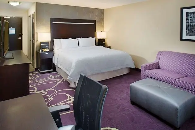 1 King Bed with Sofabed