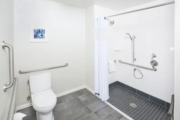 Oda, 1 En Büyük (King) Boy Yatak ve Çekyat, Engellilere Uygun (Mobility, Roll-in Shower)