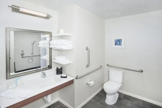 Oda, 1 En Büyük (King) Boy Yatak ve Çekyat, Engellilere Uygun (Mobility, Roll-in Shower)
