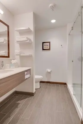 Oda, 1 En Büyük (King) Boy Yatak, Engellilere Uygun, Sigara İçilmez (Roll In Shower)