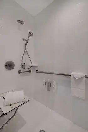 Stüdyo, 1 En Büyük (King) Boy Yatak, Engellilere Uygun (Roll-In Shower)