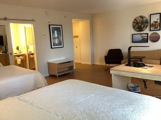 2 Queen Beds Studio Suite, Non-smoking