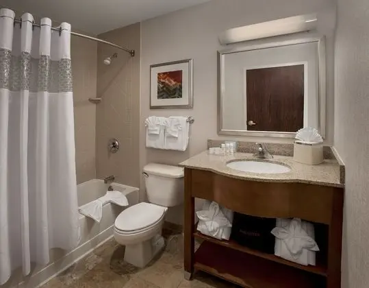 Süit, 2 Çift Kişilik Yatak, Engellilere Uygun (Roll-In Shower)