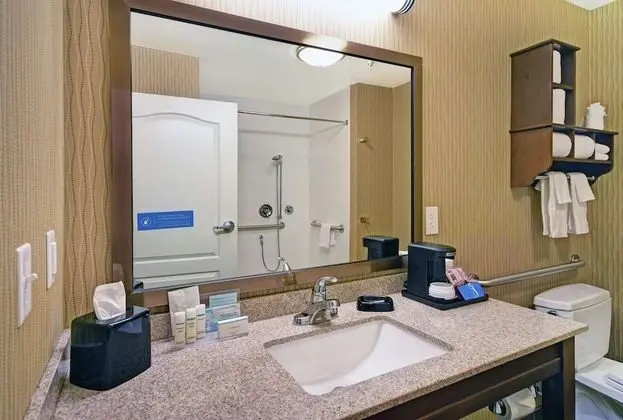 Oda, Engellilere Uygun, Sigara İçilmez (Roll-in Shower)