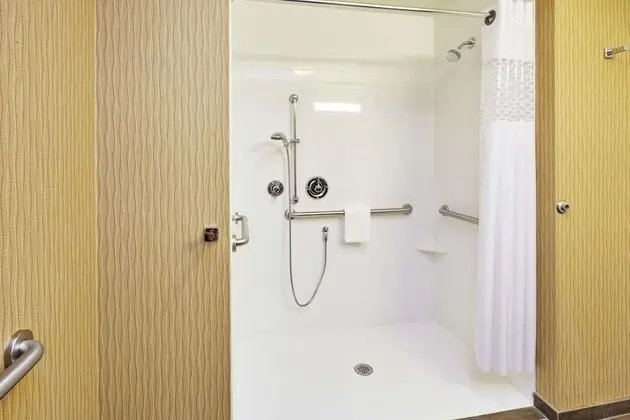 Oda, Engellilere Uygun, Sigara İçilmez (Roll-in Shower)