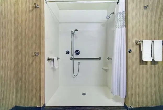 Oda, Engellilere Uygun, Sigara İçilmez (Roll-in Shower)