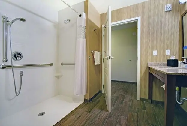 Oda, Engellilere Uygun, Sigara İçilmez (Roll-in Shower)