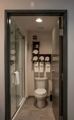 Stüdyo, 1 En Büyük (King) Boy Yatak, Buzdolabı ve Mikrodalga (Wet bar)