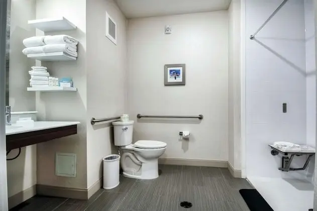 Stüdyo, 1 En Büyük (King) Boy Yatak, Engellilere Uygun, Sigara İçilmez (Rollin Shower)