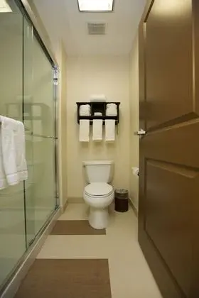 Oda, 1 En Büyük (King) Boy Yatak