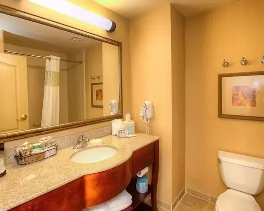 Oda, 1 En Büyük (King) Boy Yatak, Engellilere Uygun, Sigara İçilmez (Mobility & Hearing, Bathtub)