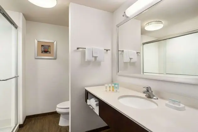Oda, 1 En Büyük (King) Boy Yatak, Sigara İçilmez (With Shower)