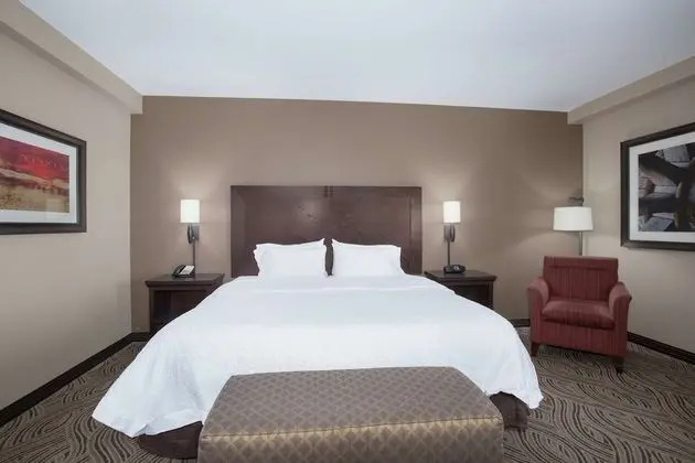 Bir King Yataklı, Sigara İçilmeyen, Engellilere Uygun