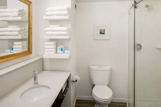 Oda, 1 En Büyük (King) Boy Yatak, Sigara İçilmez, Buzdolabı (Shower Only)