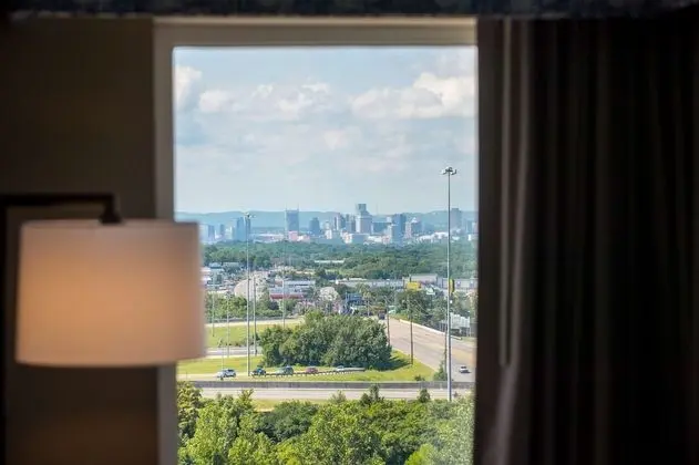 Oda, 1 En Büyük (King) Boy Yatak, Buzdolabı ve Mikrodalga, Şehir Manzaralı (Wet bar)