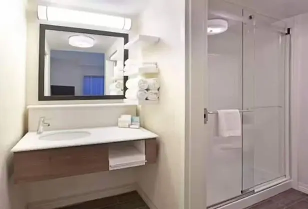 Süit, 1 En Büyük (King) Boy Yatak, Engellilere Uygun (Mobility, Roll-in Shower)