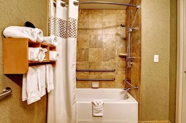 ADA Accessible Room, 1 King Bed, Accessible, Bathtub (Mobility & Hearing)