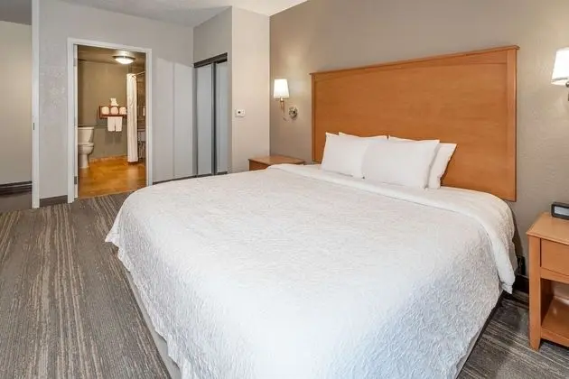 ADA Accessible Suite, 1 King Bed, Accessible (Roll-In Shower)