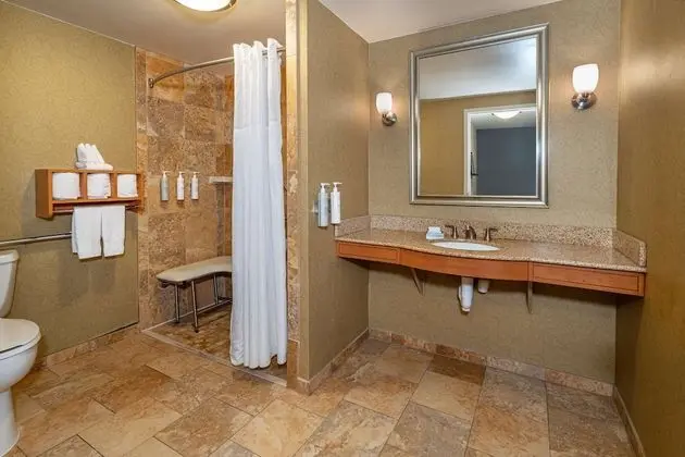 ADA Accessible Suite, 1 King Bed, Accessible (Roll-In Shower)