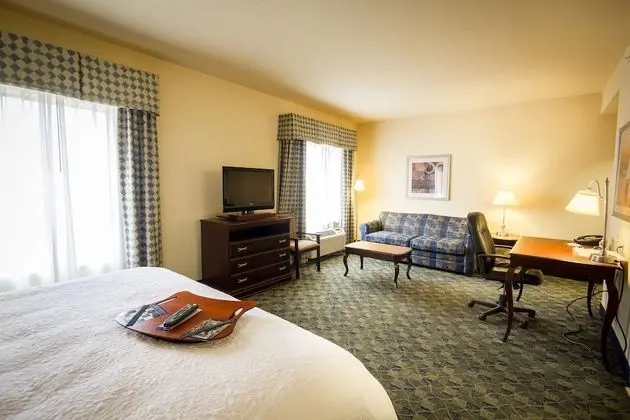 King Suite, Stüdyo, 1 En Büyük (King) Boy Yatak ve Çekyat