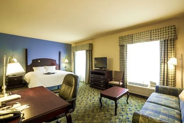 King Suite, Stüdyo, 1 En Büyük (King) Boy Yatak ve Çekyat