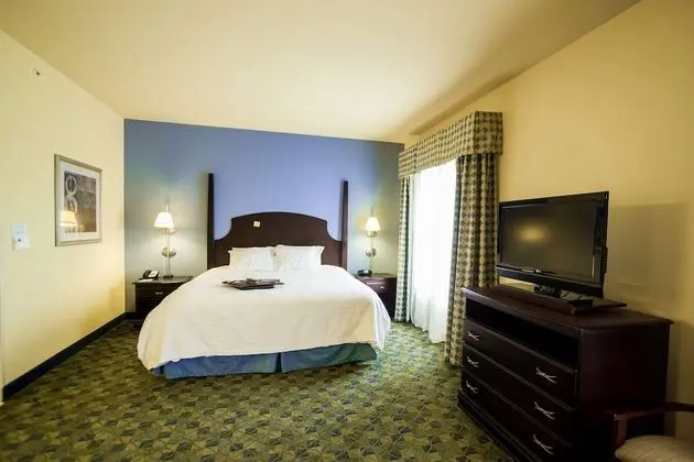 King Suite, Stüdyo, 1 En Büyük (King) Boy Yatak ve Çekyat