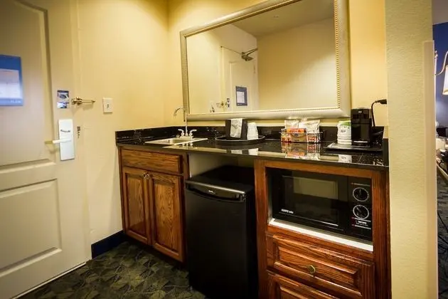 King Suite, Stüdyo, 1 En Büyük (King) Boy Yatak ve Çekyat