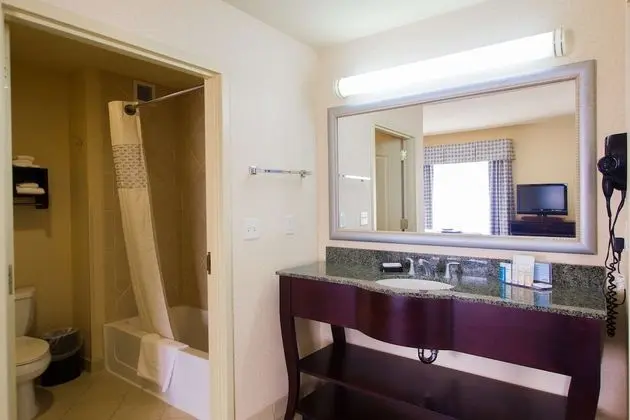 King Suite, Stüdyo, 1 En Büyük (King) Boy Yatak ve Çekyat