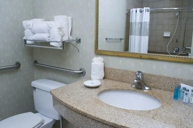Stüdyo, 1 Çift Kişilik Yatak, Engellilere Uygun, Sigara İçilmez (Roll-In Shower)