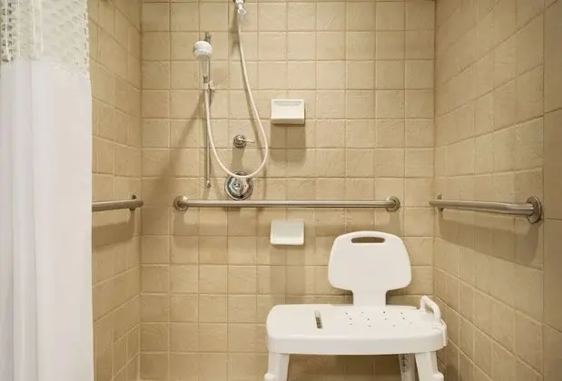 Stüdyo, 1 Çift Kişilik Yatak, Engellilere Uygun, Sigara İçilmez (Roll-In Shower)