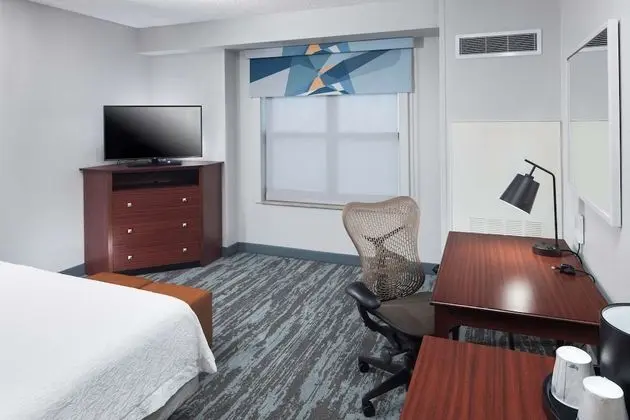 Room, 1 King Bed, Accessible roll-in Shower, Non Smoking