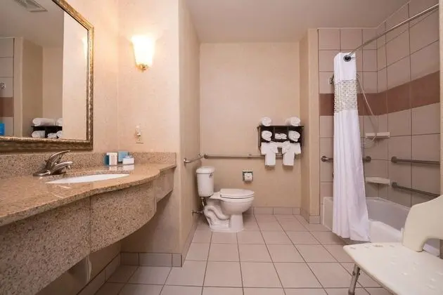 Stüdyo, 1 En Büyük (King) Boy Yatak, Engellilere Uygun, Sigara İçilmez (Roll-in Shower)