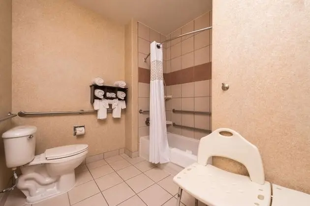 Stüdyo, 1 En Büyük (King) Boy Yatak, Engellilere Uygun, Sigara İçilmez (Roll-in Shower)