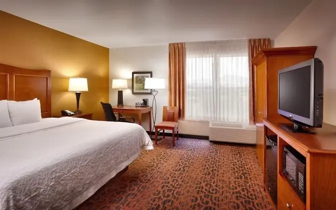 Room, 1 King Bed, Accessible Roll In Shower, Non Smoking