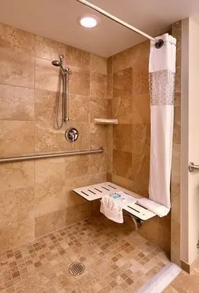 Room, 1 King Bed, Accessible Roll In Shower, Non Smoking