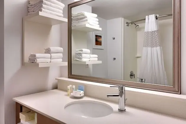 Room, 1 King Bed, Accessible Roll In Shower, Non Smoking
