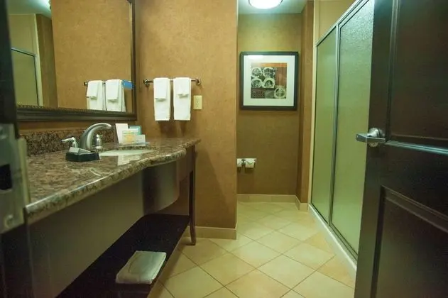 Oda, 1 En Büyük (King) Boy Yatak, Sigara İçilmez (Shower Only)