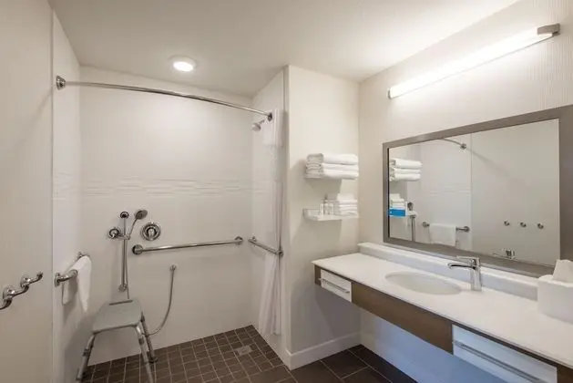 Stüdyo, 1 En Büyük (King) Boy Yatak, Engellilere Uygun, Sigara İçilmez (Roll-in Shower)