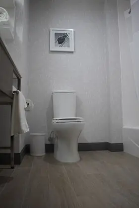 Süit, 1 En Büyük (King) Boy Yatak, Engellilere Uygun