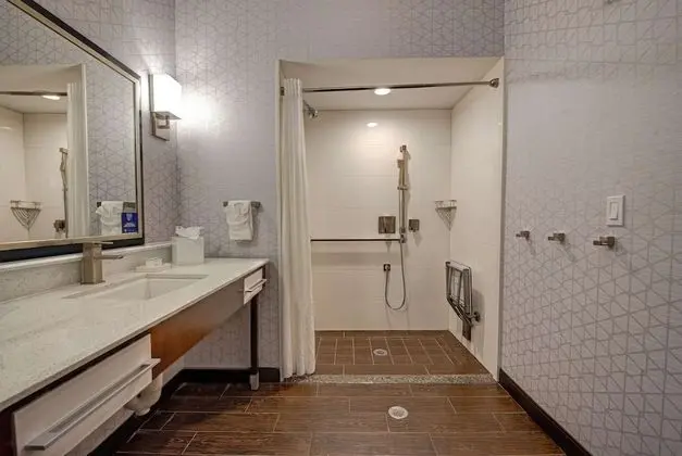 Stüdyo, 1 En Büyük (King) Boy Yatak, Engellilere Uygun (Roll-in Shower)