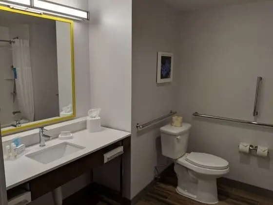 Oda, 1 En Büyük (King) Boy Yatak ve Çekyat, Engellilere Uygun, Buzdolabı (Bathtub)