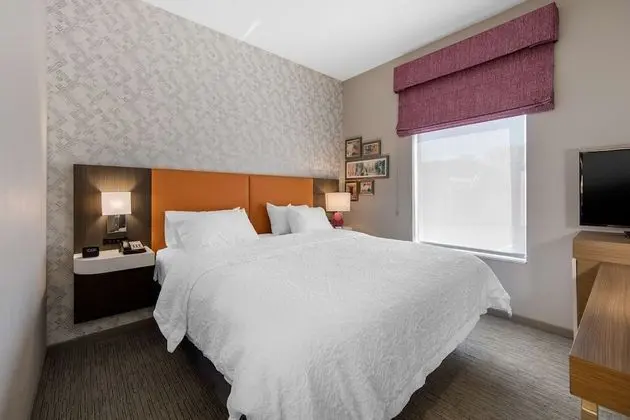 Stüdyo, 1 En Büyük (King) Boy Yatak, Buzdolabı ve Mikrodalga (Wet Bar)