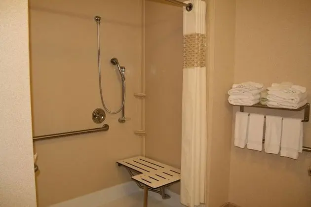 Stüdyo, 1 En Büyük (King) Boy Yatak, Engellilere Uygun (Roll-In Shower)