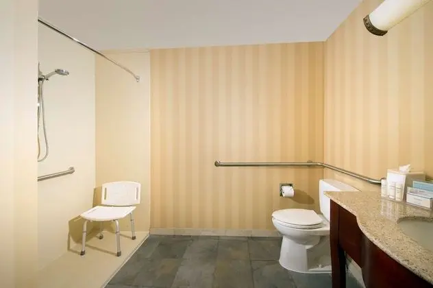 Süit, Engellilere Uygun, Sigara İçilmez (Roll-in Shower)