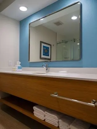 Standard Oda, 1 En Büyük (King) Boy Yatak, Engellilere Uygun, Sigara İçilmez (Roll-in Shower)