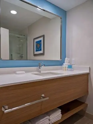 Standard Oda, 1 En Büyük (King) Boy Yatak, Engellilere Uygun, Sigara İçilmez (Roll-in Shower)