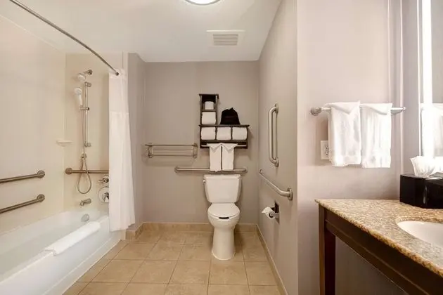 Standard Oda, 1 En Büyük (King) Boy Yatak, Engellilere Uygun, Sigara İçilmez (Roll-In Shower)