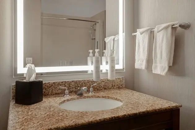 Standard Oda, 1 En Büyük (King) Boy Yatak, Engellilere Uygun, Sigara İçilmez (Roll-In Shower)